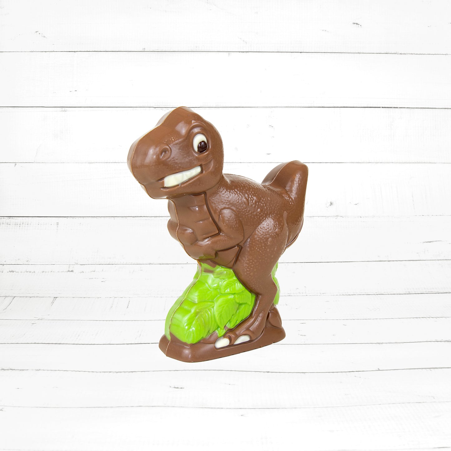 Dino T-Rex 150g (902-903)