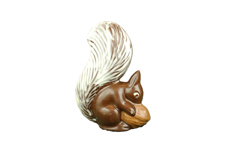 Eichhörnchen, dunkel, EH12 (41)