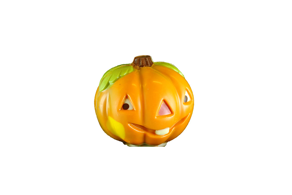 Herbst Kürbis, EH6 (105)