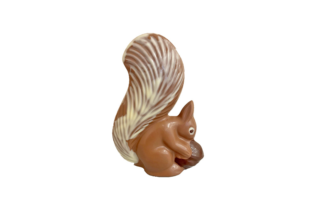 Eichhörnchen, Milch, EH12 (42)