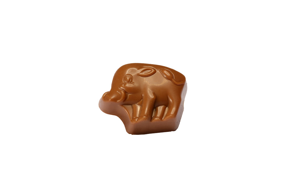 Wildschweinchen (3130)